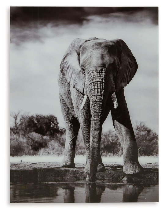 Glinyard - Wall Art - Black / White