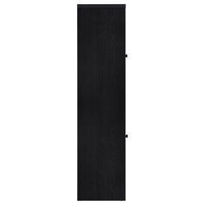 Denison - 67" 2-Door Media Tower Storage Cabinet - Black