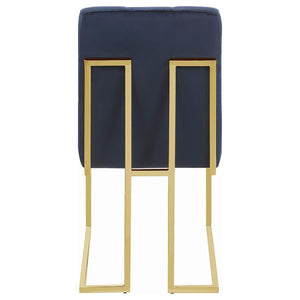 Cisco - Velvet Upholstered Dining Side Chair (Set of 2)