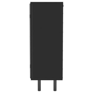 Dalia - 2 Door Accent Storage Cabinet With Shelving - Black