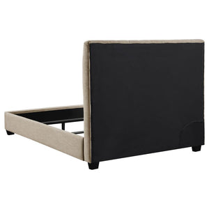 Chloe - Upholstered Panel Bed