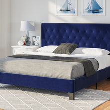 Amelia - Upholstered Queen Bed - Navy