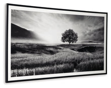 Deborland - Wall Art - Black / White