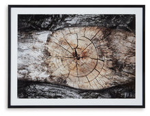 Freyburn - Brown / Black / White - Wall Art