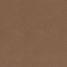 DeepWakes - Caramel - 2 Seat Power Reclining Sofa Adjustable Headrest