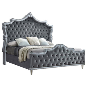 Antonella - Upholstered Tufted Queen Bed - Grey