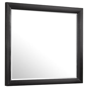 Briana - Rectangle Dresser Mirror - Black