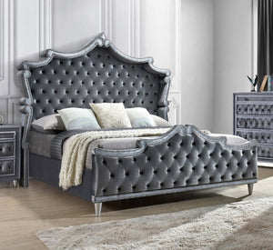 Antonella - Upholstered Tufted California King Bed - Grey