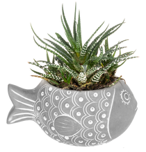 Fish Planter