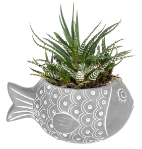Fish Planter