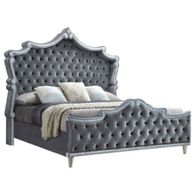Antonella - Upholstered Tufted Eastern King Bed - Grey